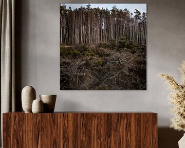 Open by Matthias Ettinger
