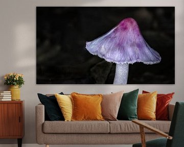 Seidige Risspilz in Braun