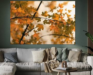 Feuilles d'automne sur Lisa Bouwman