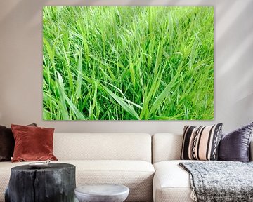 Green Grass sur Wiljo van Essen