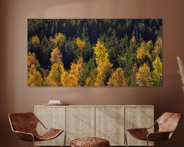 Schwarzwald im Herbst aus der Vogelperspektive