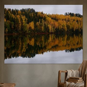 Herbstwald in Norwegen, der sich im Wasser spiegelt