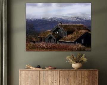 Typische Noorse huisjes met grasdak van Judith van Wijk