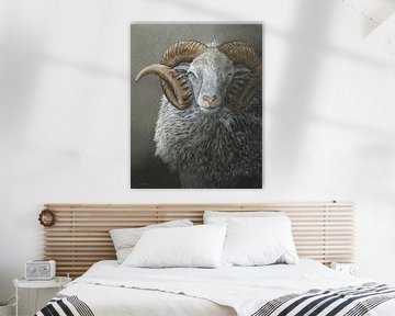 Portrait d'un mouton Skudde-ram sur Helga Pohlen - ThingArt