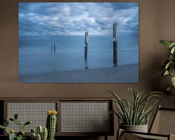 Réserve de plage Noordvoort sur Yanuschka Fotografie | Noordwijk