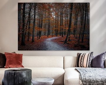 Herbst im Wald Breda Niederlande von Tatiana Verbiesen