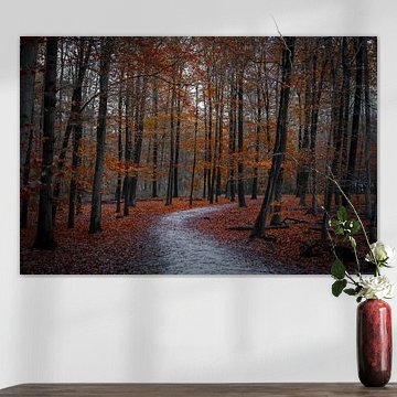 Herbst im Wald Breda Niederlande