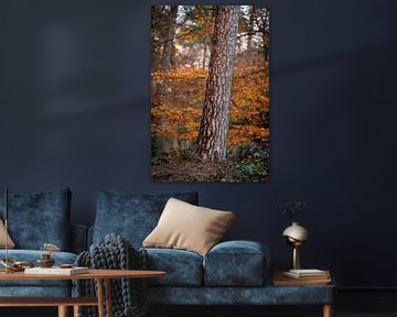 Baum im Wald Herbst in den Niederlanden von Tatiana Verbiesen