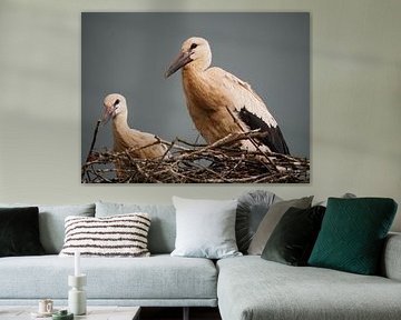Storks on the nest by Judith van Wijk