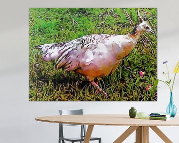 White Peahen Portrait by Dorothy Berry-Lound