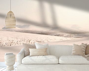 Urho Kekkonen National Park in Finnish Lapland