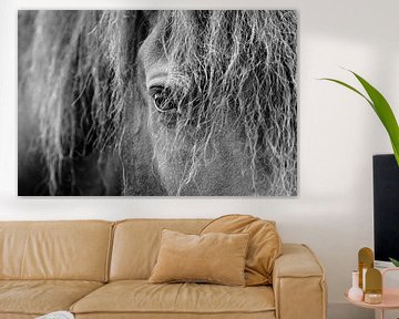 Zwart wit portret oog van het fries paard van Romy Smink