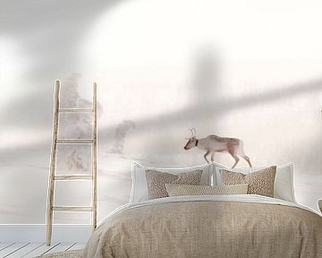 Reindeer in snowy wilderness of Finnish Lapland