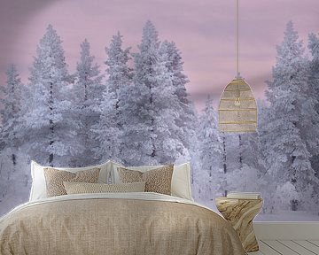 Snowy trees in Lapland, pink sky through sunset