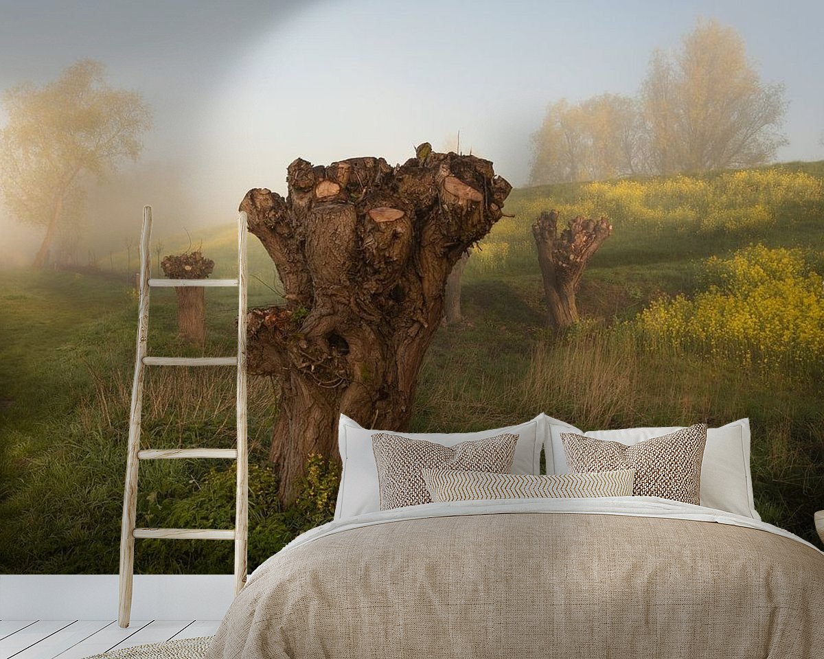 Raumvorschau