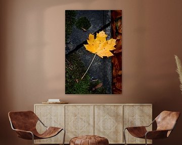 Geel herfstblad van een Esdoorn op een oude steen van Jenco van Zalk