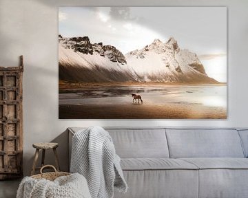 Vestrahorn met paard bij zonsopkomst, IJsland van Melissa Peltenburg