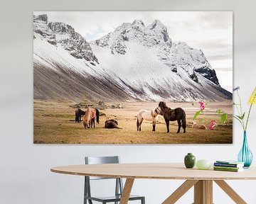 IJslandse paarden met Vestrahorn op achtergrond, Stokksnes van Melissa Peltenburg