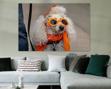 Kleurrijke grappige hond van Roland Brack