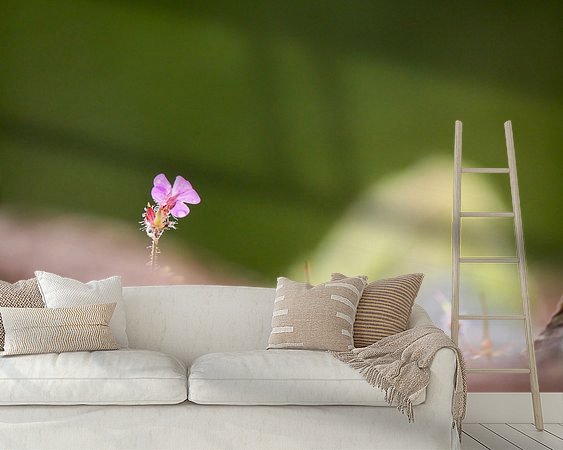 Raumvorschau