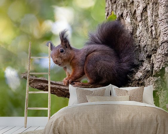 Aperçu de la chambre