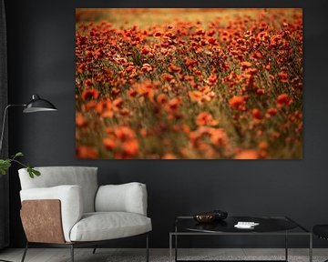 Poppies - Fiery red by Marjan van Herpen