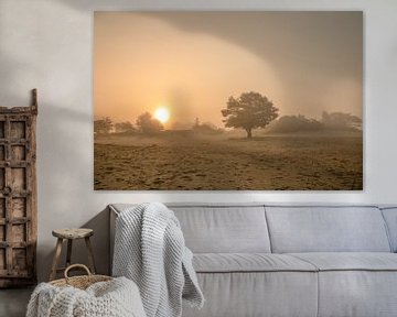 Arbre solitaire sur le sable dans la brume sur KB Design & Photography (Karen Brouwer)