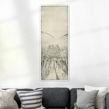 Wooden walkway with bulrushes