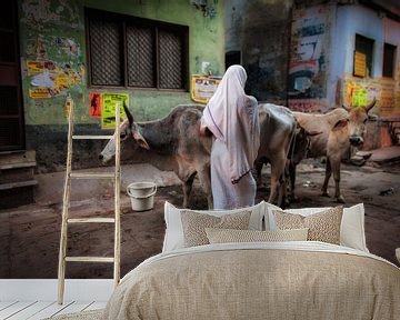 Sereen beeld van een vrouw die op haar koeien past in het centrum van Varanasi, India van Wout Kok