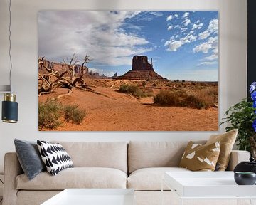 In Monument Valley by Bernard van Zwol