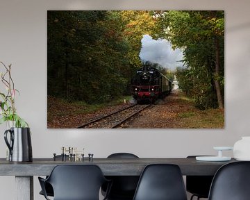 Veluwe Steam Train in autumn atmosphere by Ilona Lagerweij