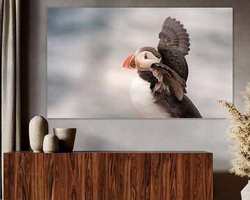 Puffin (papegaaiduiker) in IJsland van Melissa Peltenburg