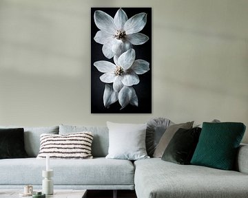 Nature morte avec des fleurs blanches sur Maarten Knops