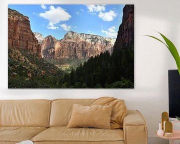 Zion National Park, Wanderung entlang des Virgin River von Bernard van Zwol