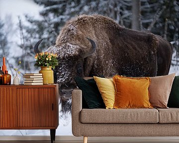 Winter Europäischer Bison