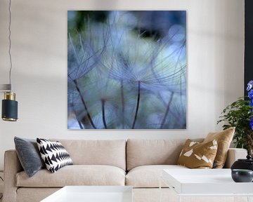 Tragopogon porrifolius sur Martine Affre Eisenlohr