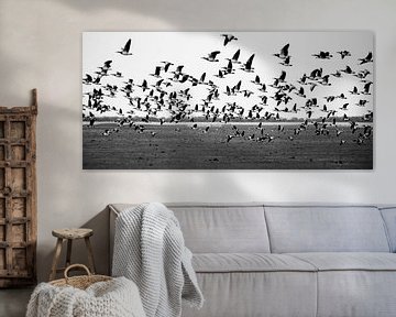 A flock of geese by Roel Van Cauwenberghe