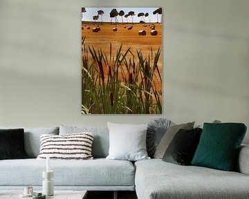 View To the Trees over Bulrushes and Straw Bales