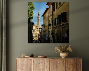 Siena - Het straatje naar Piazza Del Campo van Teun Ruijters