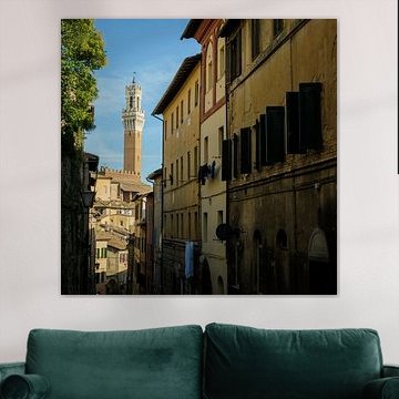 Siena - The street to Piazza Del Campo