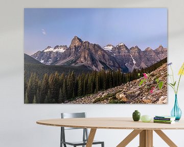 Mountain peaks at Moraine Lake in het vroege ochtendlicht, blauwe uur. van Gunter Nuyts