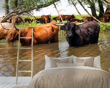 Schotse Hooglanders in het water van Fotografie Arthur van Leeuwen