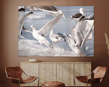 Gulls looking for food in the surf by Melissa Peltenburg