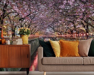 Kirschblütenbäume in Tokio, Japan von Michael Abid