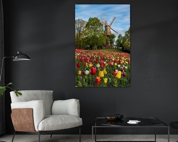 Tulpen voor windmolen in Bremen, Duitsland van Michael Abid