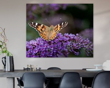 Beautiful butterfly on a flower von Roel Van Cauwenberghe