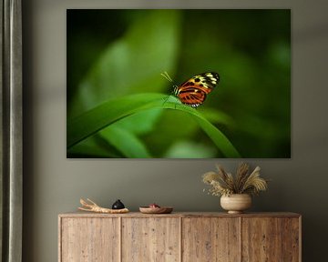 Mooie vlinder op blad