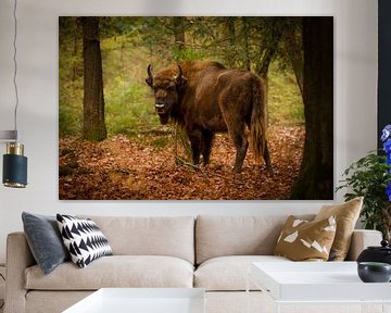 Wisent bull in the forest by Special Moments MvL