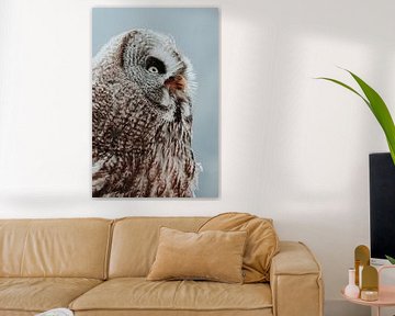 Portrait of owl by Melissa Peltenburg