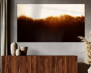 Schittering van de zon in de duinen van Noordwijk van Yanuschka | Fotografie Noordwijk